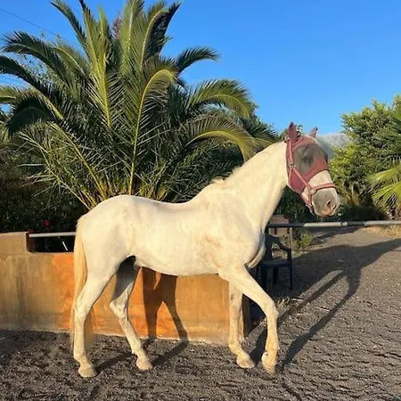 Hacienda Barriai *